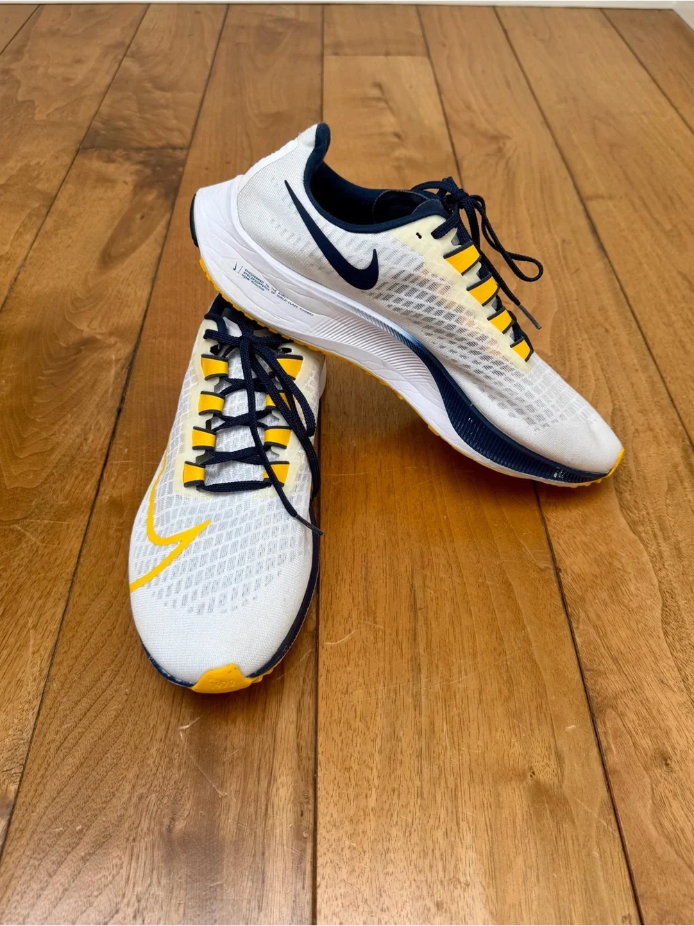 Nike Air Zoom Pegasus 37 Michigan Wolverines Running Shoes Men’s Size 12